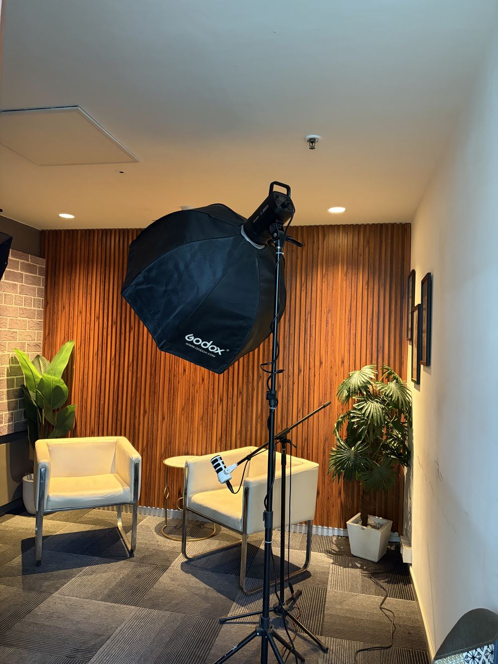 Godox softbox lighting and podcast microphone in the acoustically treated recording studio in Gurgaon
